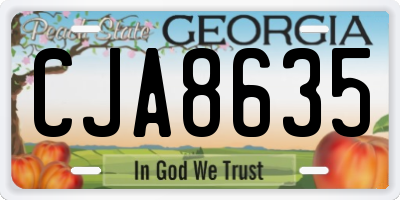 GA license plate CJA8635