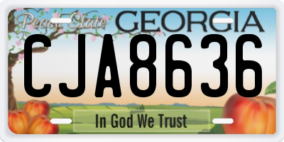 GA license plate CJA8636