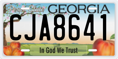 GA license plate CJA8641