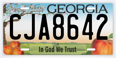GA license plate CJA8642