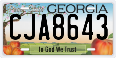GA license plate CJA8643
