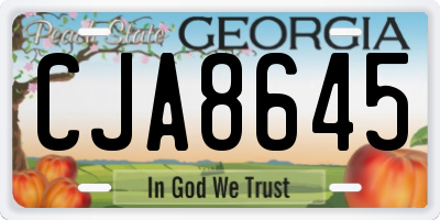 GA license plate CJA8645