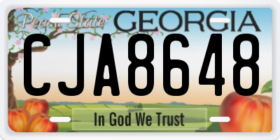 GA license plate CJA8648