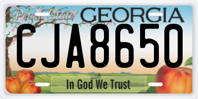GA license plate CJA8650