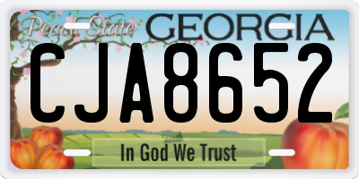 GA license plate CJA8652