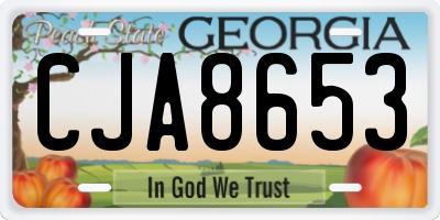 GA license plate CJA8653