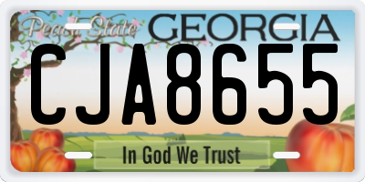 GA license plate CJA8655