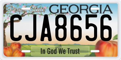 GA license plate CJA8656