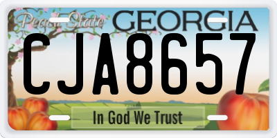 GA license plate CJA8657