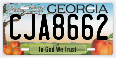 GA license plate CJA8662
