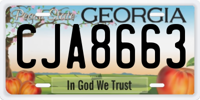 GA license plate CJA8663