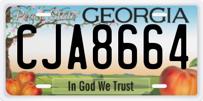 GA license plate CJA8664