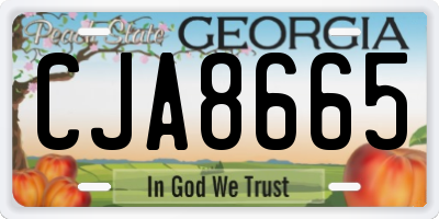 GA license plate CJA8665