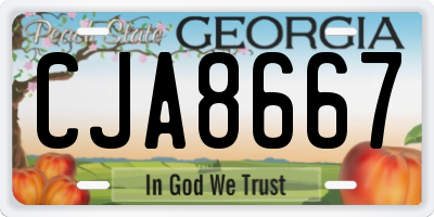 GA license plate CJA8667