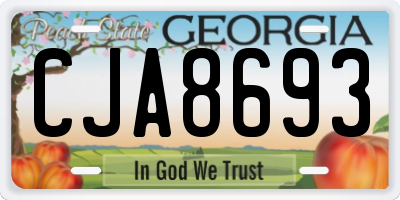 GA license plate CJA8693