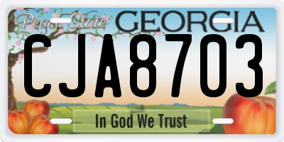 GA license plate CJA8703