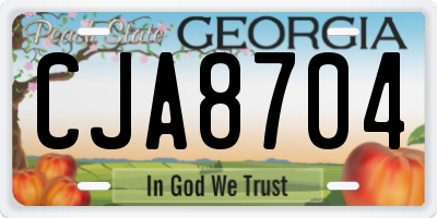 GA license plate CJA8704