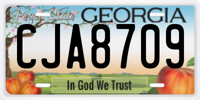 GA license plate CJA8709