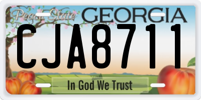GA license plate CJA8711