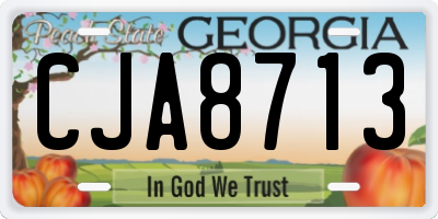 GA license plate CJA8713