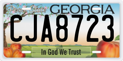GA license plate CJA8723