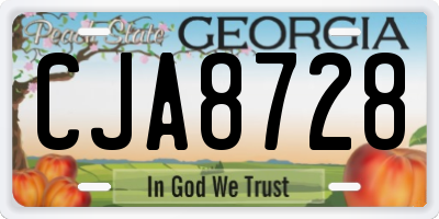 GA license plate CJA8728