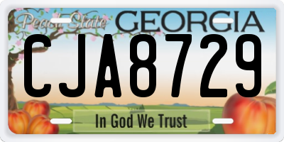 GA license plate CJA8729