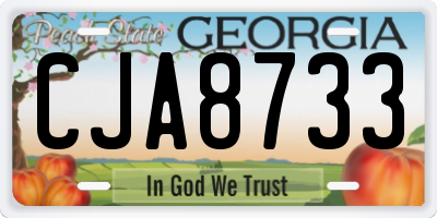 GA license plate CJA8733