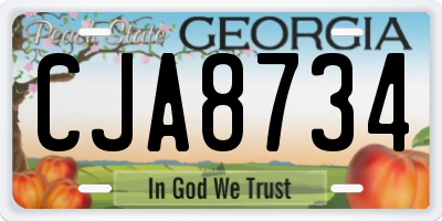 GA license plate CJA8734