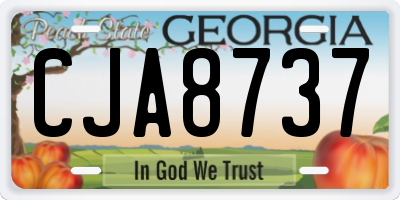 GA license plate CJA8737