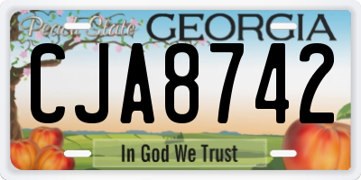 GA license plate CJA8742