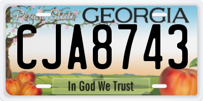 GA license plate CJA8743