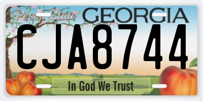 GA license plate CJA8744