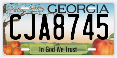 GA license plate CJA8745