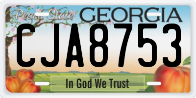 GA license plate CJA8753