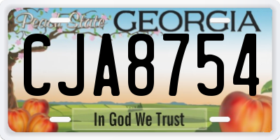 GA license plate CJA8754