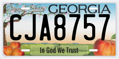 GA license plate CJA8757