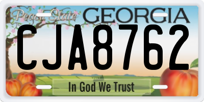 GA license plate CJA8762