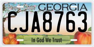 GA license plate CJA8763