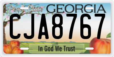 GA license plate CJA8767