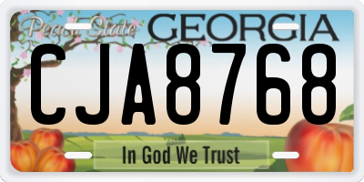 GA license plate CJA8768