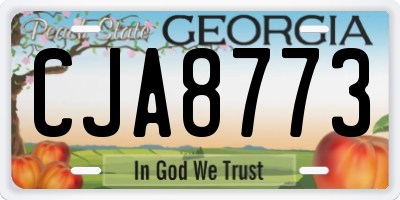 GA license plate CJA8773