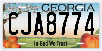 GA license plate CJA8774