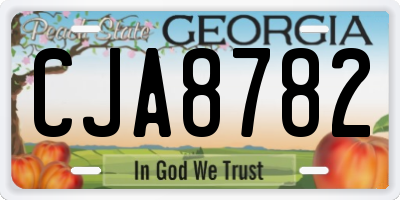 GA license plate CJA8782