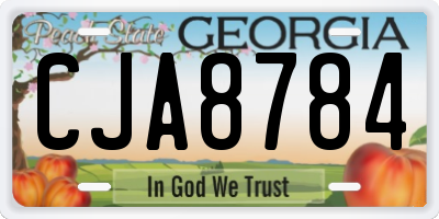 GA license plate CJA8784