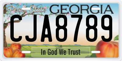 GA license plate CJA8789