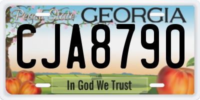 GA license plate CJA8790