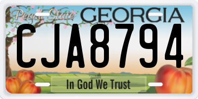 GA license plate CJA8794