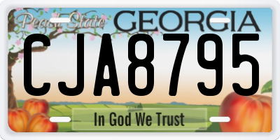 GA license plate CJA8795