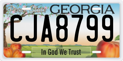 GA license plate CJA8799